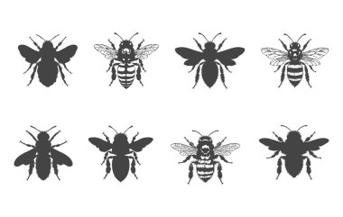 Bal arısı svg, Bal arısı vektörü, Bal arısı silueti, Bal arısı silueti, Bee svg, Arı silueti, Uçan arı silueti, Bal arısı ikonu, Arı vektör çizimi. 