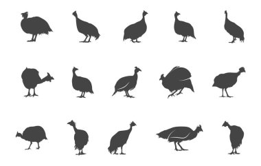 Gine tavuğu silueti, Gine tavuğu svg, Miğfer tavuğu svg, Gine tavuğu svg, Fowl svg, Fowl svg, Miğfer tavuğu silueti. 