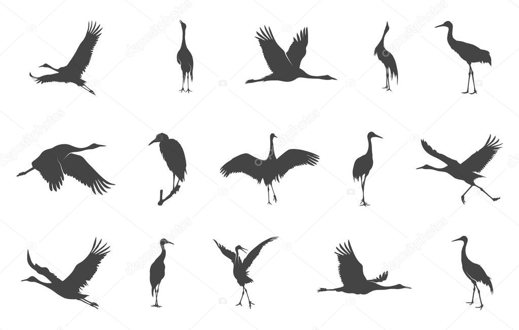 Crane bird svg, Crane bird silhouette, Japanese crane svg, Sandhill crane svg, Crane silhouette, Crane svg.