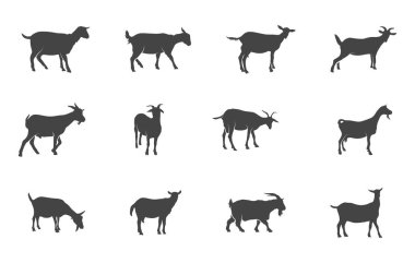 Saanen keçi silueti, Saanen keçi silueti, Süt keçisi silueti, Süt keçisi silueti, Keçi silueti, Keçi silueti.