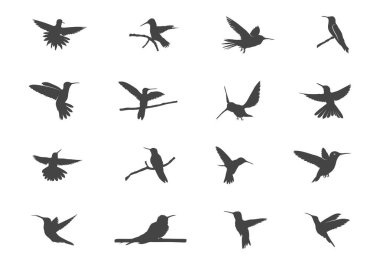 Sinekkuşu silueti, sinekkuşu svg, vızıldayan kuş vektörü, sinekkuşu clipart, uçan sinekkuşu silueti, uçan sinekkuşu svg.