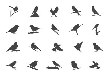 Sparrow silueti, Sparrow svg, uçan serçe silueti, uçan serçe svg, serçe kuşları svg, Sparrow clipart, Sparrow vektörü.