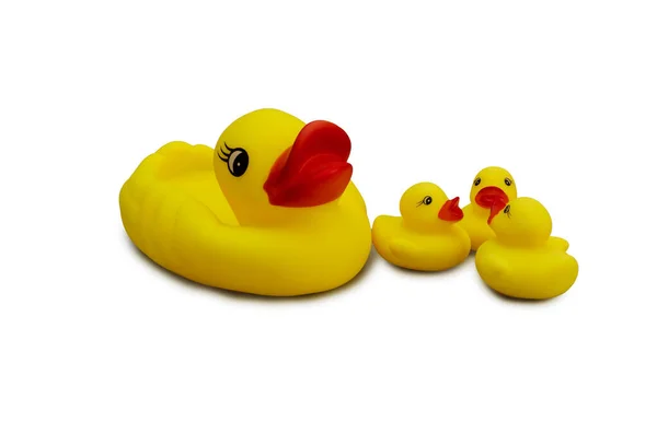 Mother rubber duck and ducklings on isolated background