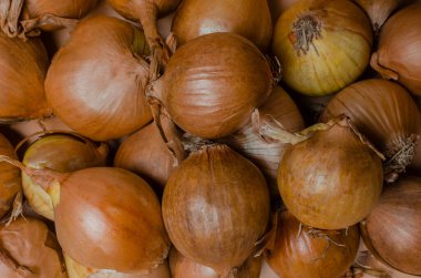 Bol soğanlı, güzel manzaralı. Gıda malzemeleri. Tarım