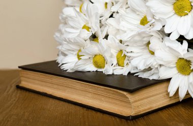 Ahşap arka planda eski bir kitabı olan narin beyaz kasımpatılar.