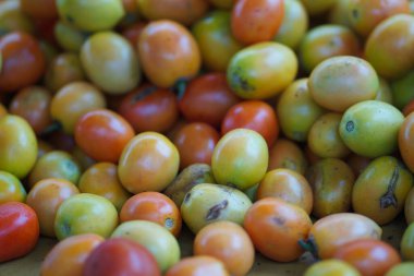 Üst üste yığılmış domatesler, domates dokusu. Seçici odak.