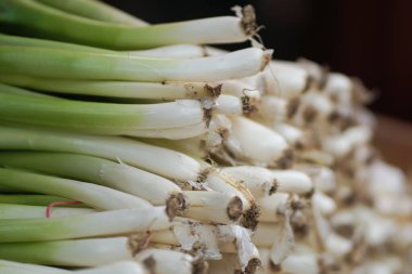 Bir yığın taze soğan. Geleneksel pazarlarda yeşil soğan satılıyor