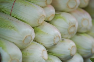 Bir yığın taze hindiba sebzesi. Geleneksel pazarda bir yığın Çin lahanası.