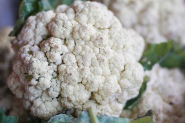 Yeşil yapraklı karnabahar. Karnabahar başı doğal koşullarda, yakın plan.