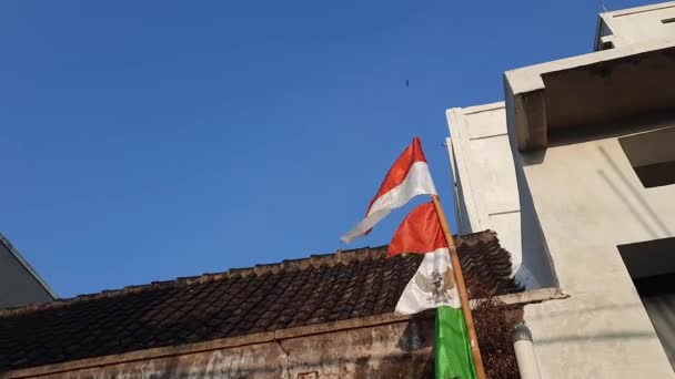 インドネシアの国旗 赤と白の旗 インドネシアの国旗 インドネシアの国旗が青空に浮かぶ インドネシア共和国の独立記念日 赤と白の旗 — ストック動画