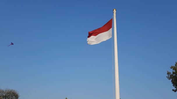 インドネシアの国旗 赤と白の旗 インドネシアの国旗 インドネシアの国旗が青空に浮かぶ インドネシア共和国の独立記念日 赤と白の旗 — ストック動画