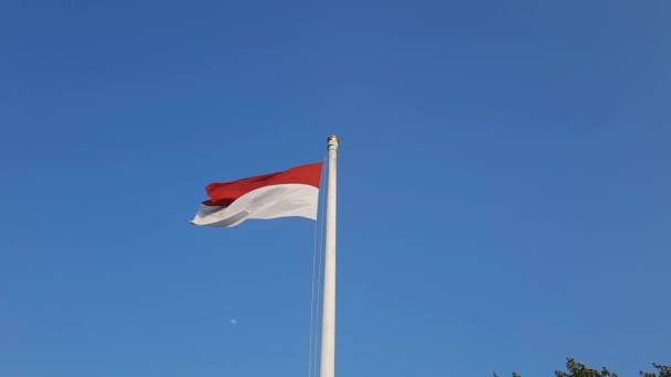 Endonezya Bayrağı Kızıl Beyaz Bayrak Endonezya Nın Ulusal Sembolü Endonezya — Stok video