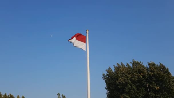 Flaga Indonezji Czerwona Biała Flaga Narodowy Symbol Indonezji Indonezyjska Flaga — Wideo stockowe