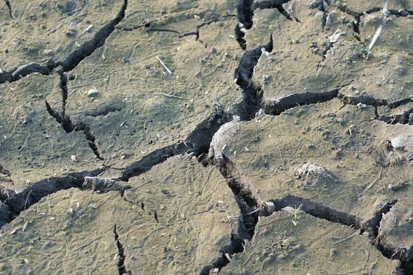 地面には亀裂がある バーレン ひび割れて 地面と土壌を焼いた 地球温暖化という概念 テクスチャされた背景 — ストック写真