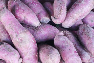 Japon Tatlı Patatesi 'nin (Ipomoea batatas) yakın çekimi)