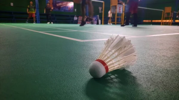 shuttlecock on badminton playing court