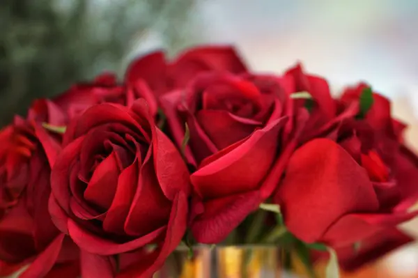 Beautiful natural red roses background. Close up Red plastic roses, involve love and joy. Selective Focus