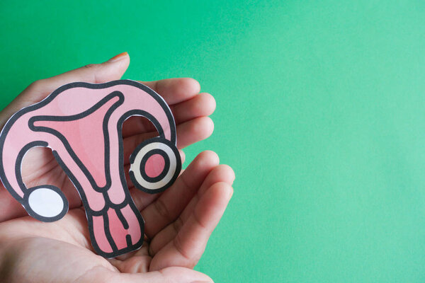 Women's health, gynecology and reproductive system concept. Woman hands holding decorative model uterus on green background. Top view, copy space