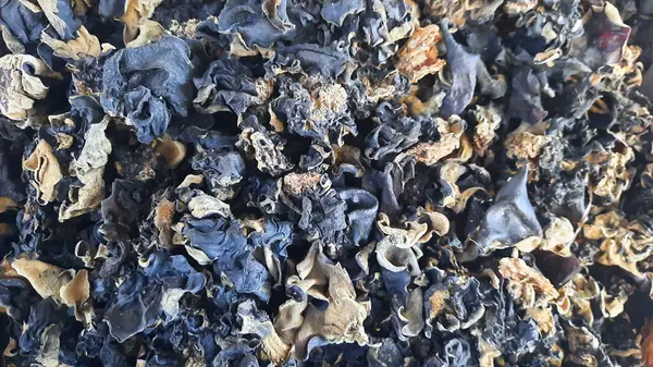 Kurutulmuş istiridye mantarı dokusu.