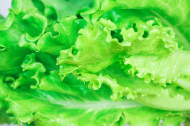 Beyaz bir zemin üzerinde taze marul, besin elementi sağlıklı besinler ve sebze içeriği konsepti. 