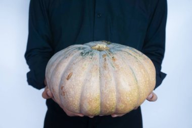 Elinde olgun, turuncu bir balkabağı tutan adam. Önden, yakın plan, beyaz arka plan izole edilmiş.