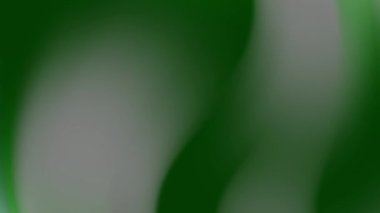 Yeşil bulanık arkaplan, doğal tasarım, sunumlar, web arkaplanları, dijital sanat ve eko-dostça projeler için harika, gri açık tonları harmanlıyor.