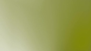 Yeşil arka planda bulanık beyaz ışık, soyut tasarımlar, arka planlar, sunumlar ve sanatsal projeler için harika. Dijital sanat veya web sitesi geçmişi için uygundur.