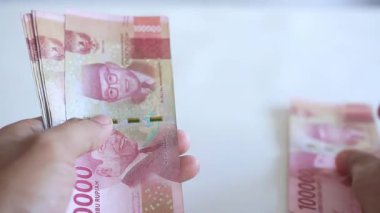 Yatırım, tasarruf, gider, hesap ve finansal konsept için bütçe parası sayın ve yönetin