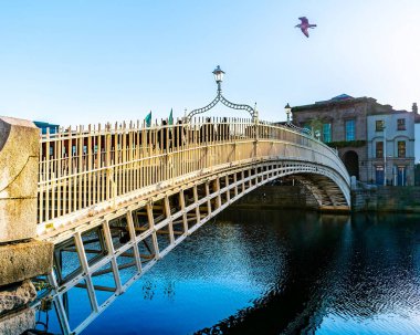 İrlanda, Dublin 'deki Liffey Nehri üzerindeki yarım penilik köprünün manzarası, açık mavi gökyüzü ve uçan bir kuşla.
