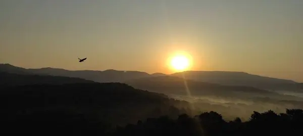 Sonnenaufgang Zwischen Den Bergen Und Ein Vogel Der Sie Begrüßt — Stockfoto