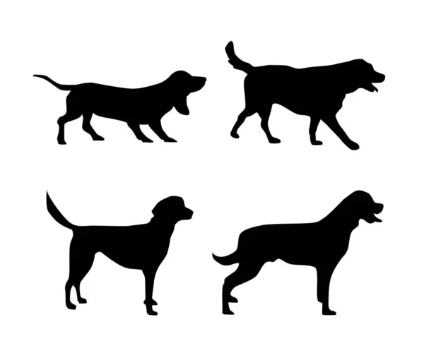 Vector Collection Dog Silhouette — Stock Vector