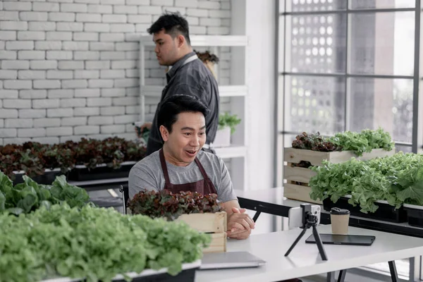 Vendor sell veggies online via live streaming by giving client information and answering questions about freshness, price, and availability. Attentiveness, commitment, and trust of small businesses.