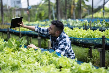 Tedarikçi müşterilere bilgi vererek ve tazelik, fiyat ve ulaşılabilirlik sorularını cevaplayarak canlı yayın yoluyla sebze satar. Küçük işletmelerin dikkati, bağlılığı ve güveni.
