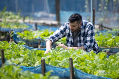Sebze çiftliğindeki bir işçi, ekilebilecek en iyi ürün türünü ve miktarını belirlemek için toprak koşullarını ve mahsul büyümesini inceler. Küçük bir işletme sahibinin günlük planlama ve düzenleme rutini