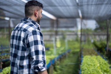 Sebze çiftliği sahibi, su hatları, hava akışı ve sıcaklık gibi çiftliğin tesislerini ve altyapısını her açıdan izliyor. Ekme ve hasat stratejileri geliştirmek hayati önem taşıyor..