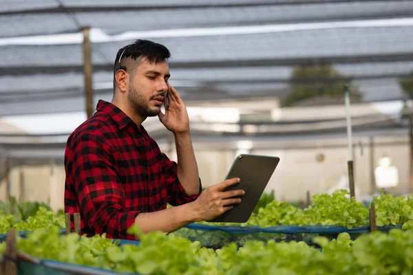 Verkäufer Verkaufen Gemüse Online Live Streaming Indem Sie Kundeninformationen Geben — Stockfoto