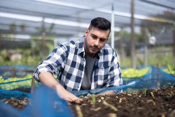 A worker on a vegetable farm examines soil conditions and crop growth to determine the best type and amount of crop to plant. A small business owner\'s daily planning and organizing routine