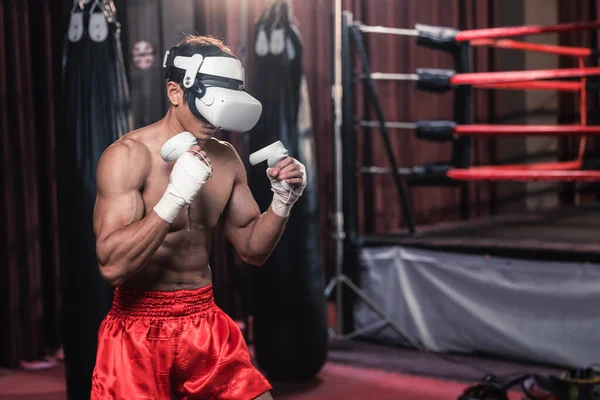Professionelle Boxer Tragen Virtual Reality Headsets Immersive Boxworkouts Simulieren Während — Stockfoto