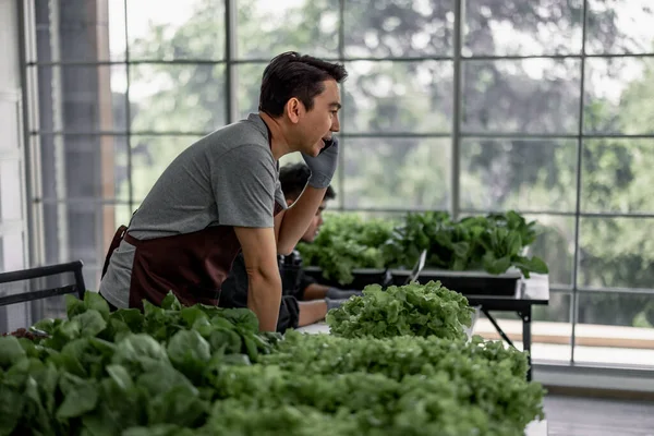 Vendedor Vegetais Comemorou Com Sua Equipe Receber Grande Número Pedidos — Fotografia de Stock