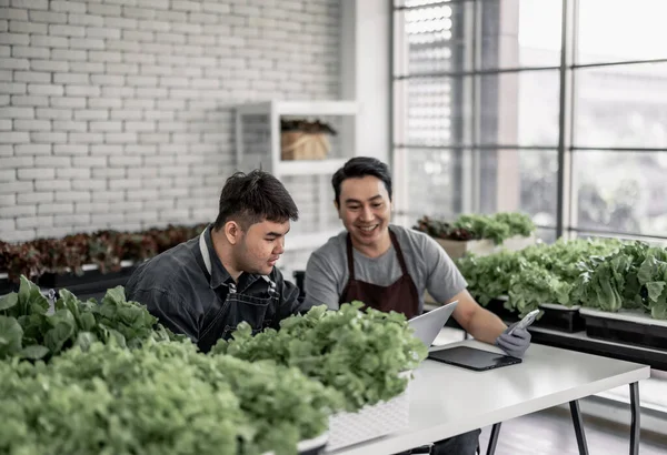 Vegetable Seller Celebrated His Staff Receiving Large Number Orders Phone — Stock Photo, Image