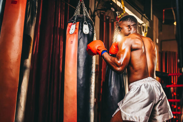 Boxers at the professional level routinely train by punching and kicking sandbags. To be successful in the individual's career, self-discipline, determination, and patience are essential qualities.