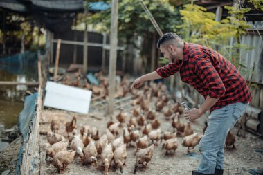 Çiftlik işçisi ördekleri neşeyle besler. Kümes hayvanları çiftliklerindeki hastalıkların tespiti, teşhis testleri ve ördek davranışlarının yakından incelenmesi de dahil. Uygun hijyen prosedürlerini sağlama almak