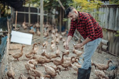 Çiftlik işçisi ördekleri neşeyle besler. Kümes hayvanları çiftliklerindeki hastalıkların tespiti, teşhis testleri ve ördek davranışlarının yakından incelenmesi de dahil. Uygun hijyen prosedürlerini sağlama almak
