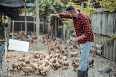 Çiftlik işçisi ördekleri neşeyle besler. Kümes hayvanları çiftliklerindeki hastalıkların tespiti, teşhis testleri ve ördek davranışlarının yakından incelenmesi de dahil. Uygun hijyen prosedürlerini sağlama almak