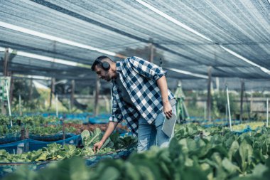 Çiftçilik işçisi müzik dinleyerek ve vücudu ritim ve ritme göre hareket ettirerek sağlıklı iş-yaşam dengesini geliştirir. Esnek çalışma programı tasarlamak, dinlenmek, enerjiyi ve canlılığı yeniden yüklemek.