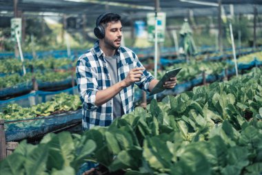 Çiftçilik işçisi müzik dinleyerek ve vücudu ritim ve ritme göre hareket ettirerek sağlıklı iş-yaşam dengesini geliştirir. Esnek çalışma programı tasarlamak, dinlenmek, enerjiyi ve canlılığı yeniden yüklemek.