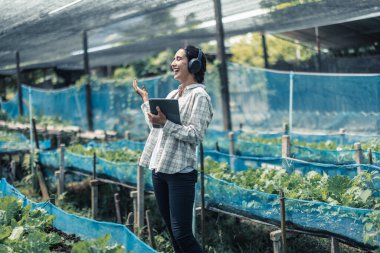 Çiftçilik işçisi müzik dinleyerek ve vücudu ritim ve ritme göre hareket ettirerek sağlıklı iş-yaşam dengesini geliştirir. Esnek çalışma programı tasarlamak, dinlenmek, enerjiyi ve canlılığı yeniden yüklemek.