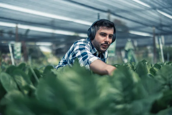 Сельскохозяйственный Работник Повышает Здоровый Баланс Между Работой Жизнью Слушая Музыку — стоковое фото