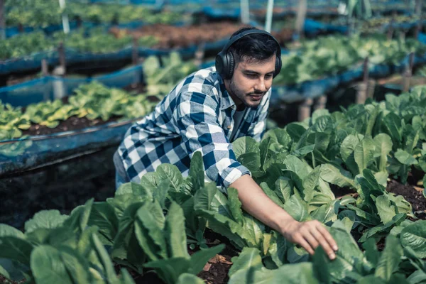 Agricultor Melhora Equilíbrio Saudável Entre Vida Profissional Vida Profissional Ouvindo — Fotografia de Stock