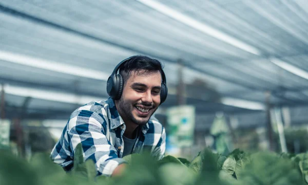 Farming Worker Enhance Healthy Work Life Balance Listening Music Moving — Stock Photo, Image